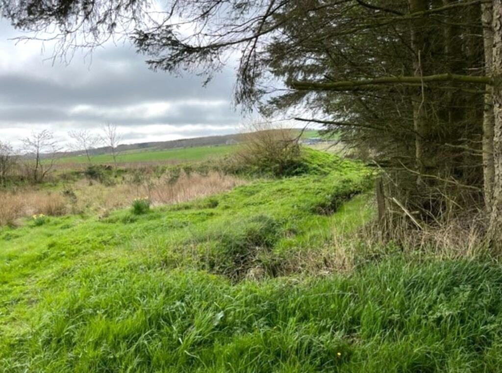 Additional image 8 of Site of former Willowbank Cottage, Auchnagatt, Ellon, Aberdeenshire