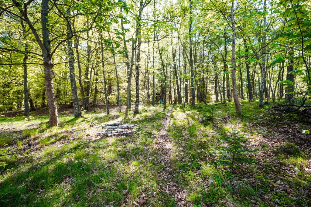 Additional image 54 of South Manse and Coo Hoose, Birse, Aboyne, Aberdeenshire, AB34