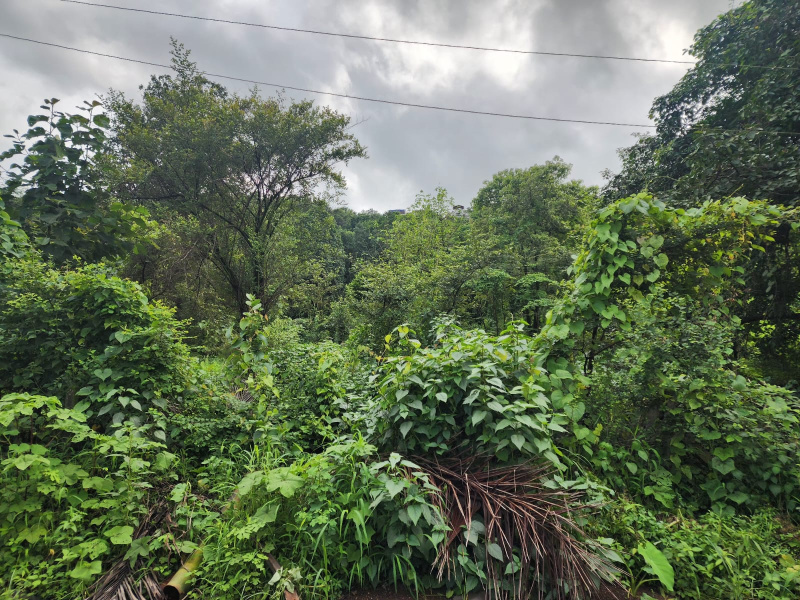 Additional image 3 of Shahapur, Thane