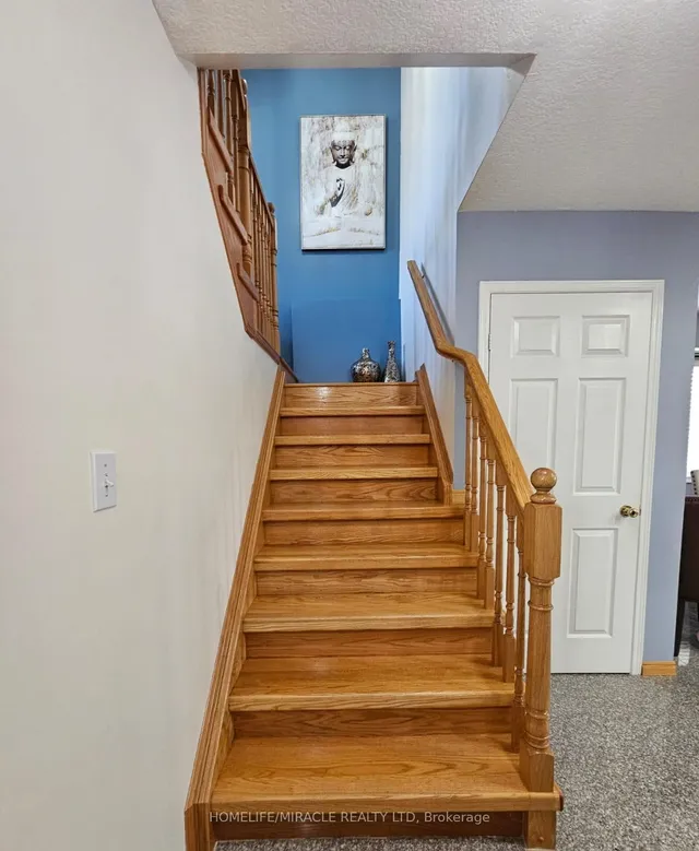 Additional image 20 of 19 Cotton Grass St