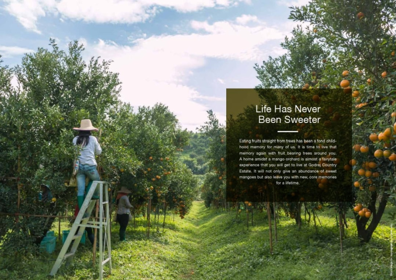 Additional image 2 of Ujjain Road, Indore