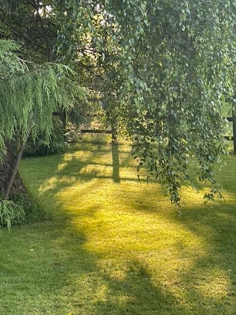 Additional image 25 of Reynards Road, Welwyn