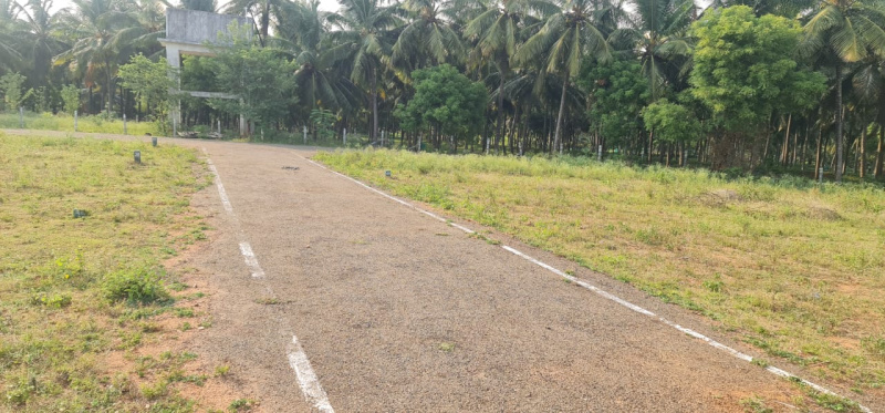 Additional image 2 of Kinathukadavu, Coimbatore