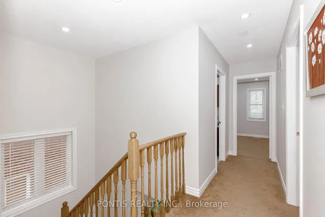 Additional image 27 of 21 ICELAND POPPY Tr