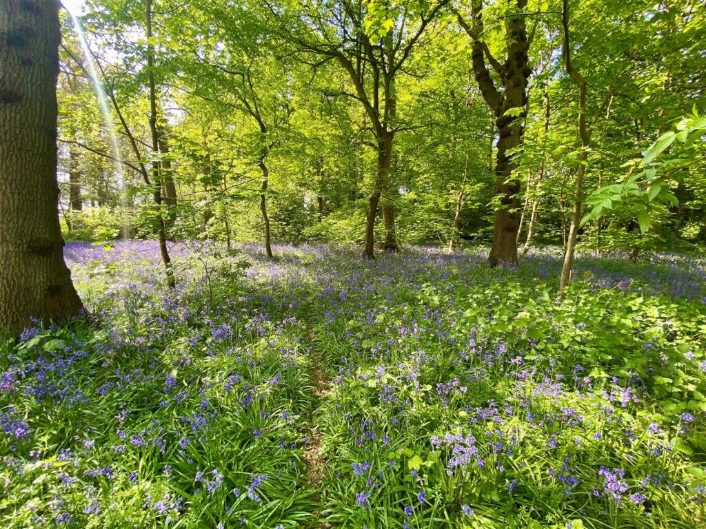 Additional image 9 of Potterells, Station Road, Welham Green