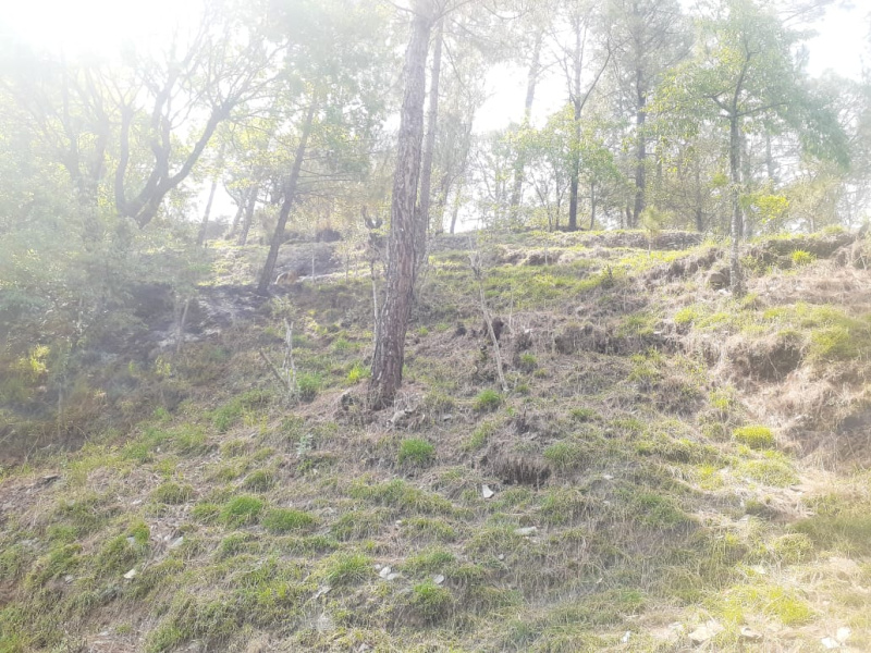 Additional image 3 of Lower Bazar, Shimla