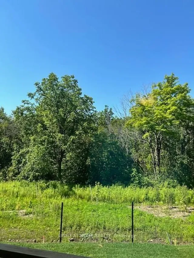 Additional image 21 of 2094 Ellerston Common