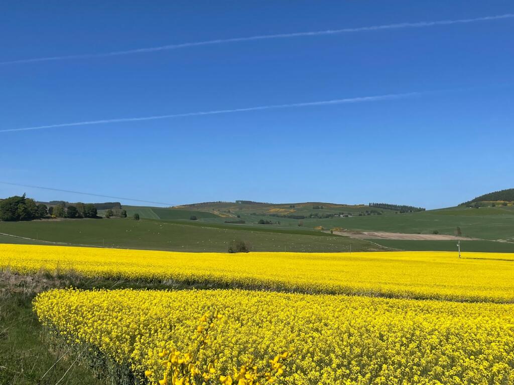 Additional image 5 of Crookmore Steading, Montgarrie, AB33