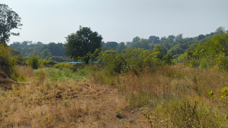 Additional image 3 of Dindori, Nashik