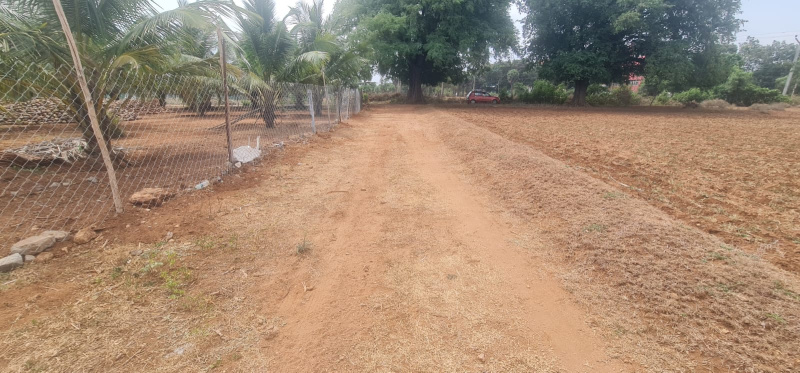 Additional image 3 of Pollachi, Coimbatore