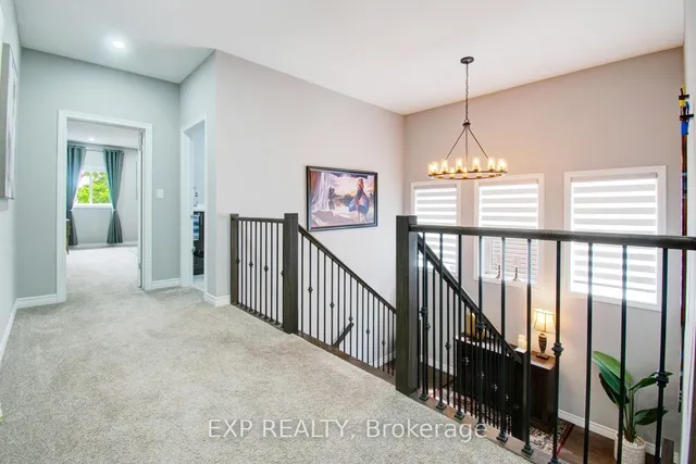 Additional image 24 of 49 Scots Pine Tr