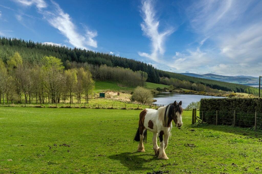 Additional image 17 of Brackla House, Premnay, Insch, Aberdeenshire, AB52