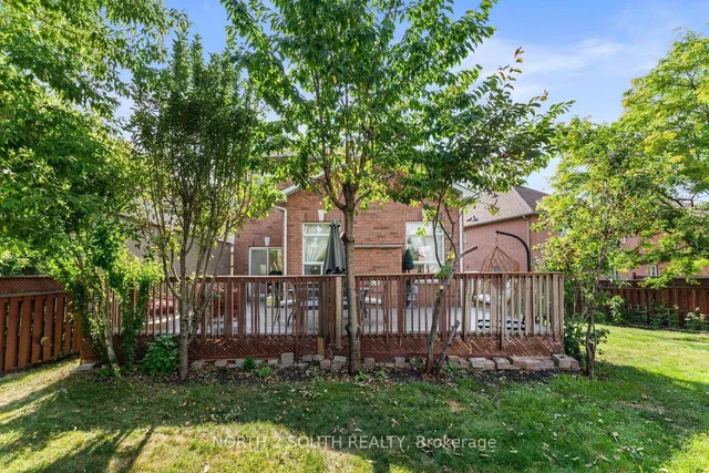 Additional image 42 of 41 Youngestar Tr