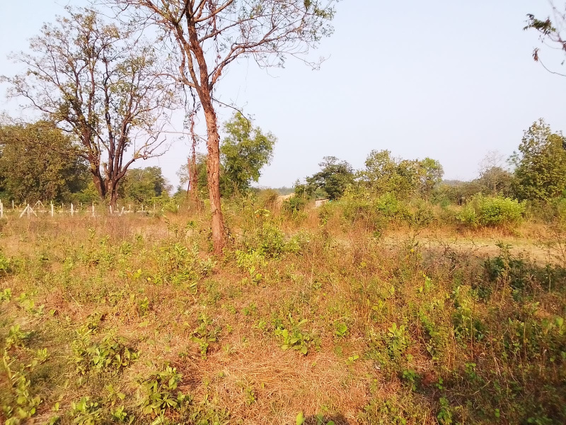 Additional image 3 of Murbad MIDC, Thane