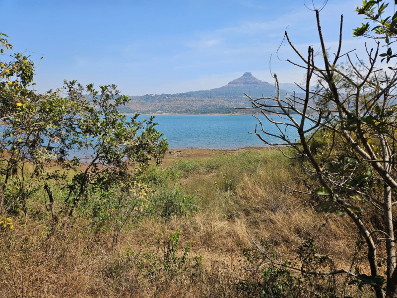 Additional image 2 of Pavana Lake, Pune