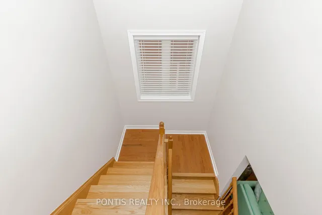 Additional image 18 of 21 ICELAND POPPY Tr