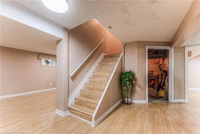 Additional image 31 of 142 Westforest Trail