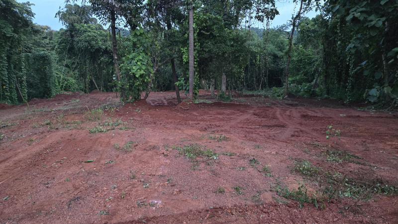 Additional image 2 of Salvador Do Mundo, Bardez, Goa