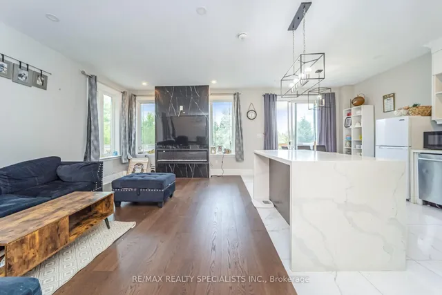 Additional image 6 of 111 Iceland Poppy Tr