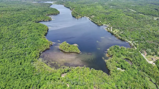 Additional image 3 of 110 Lillian Lane