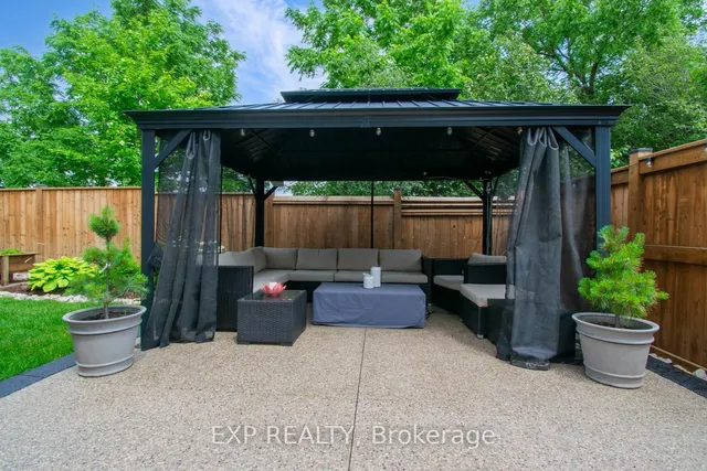 Additional image 47 of 49 Scots Pine Tr