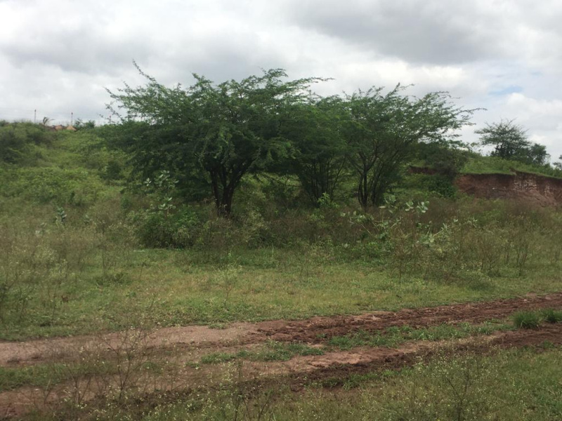 Additional image 2 of Shirur, Pune