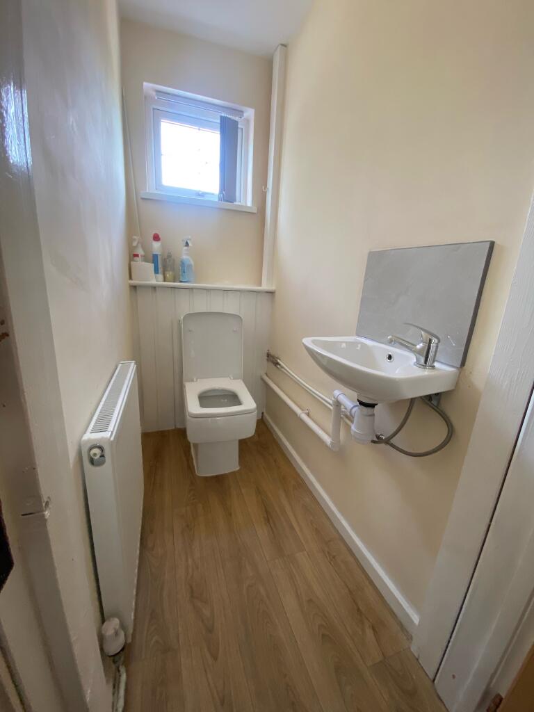 Additional image 6 of Hornbeam, Tamworth