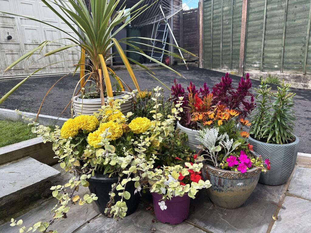 Additional image 17 of Oxford Street, Clayton, Bradford