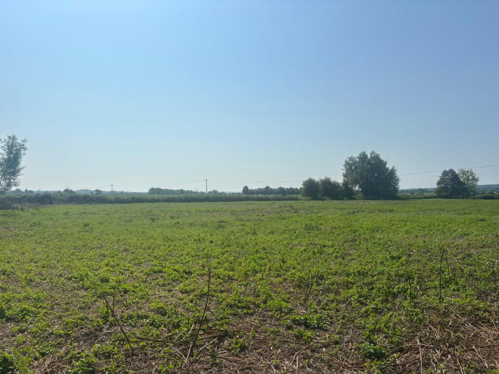 Additional image 8 of Cowbridge Road, Glastonbury , BA16