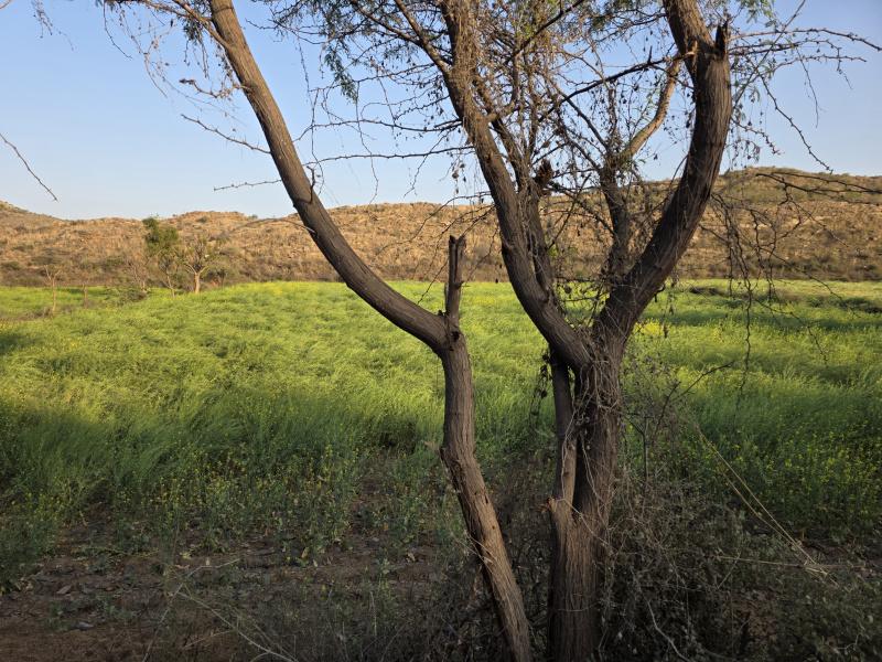 Additional image 3 of Naugaon, Alwar