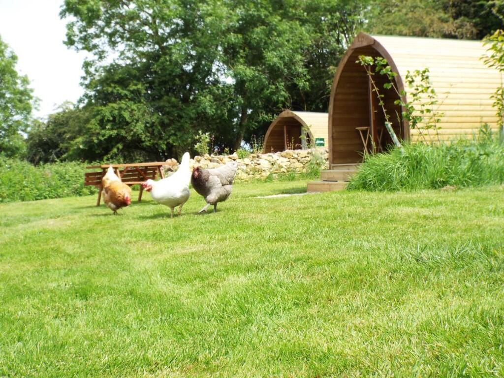 Additional image 24 of Established camping and glamping business for sale, Farleigh Rise, Bradford-on-Avon, BA15