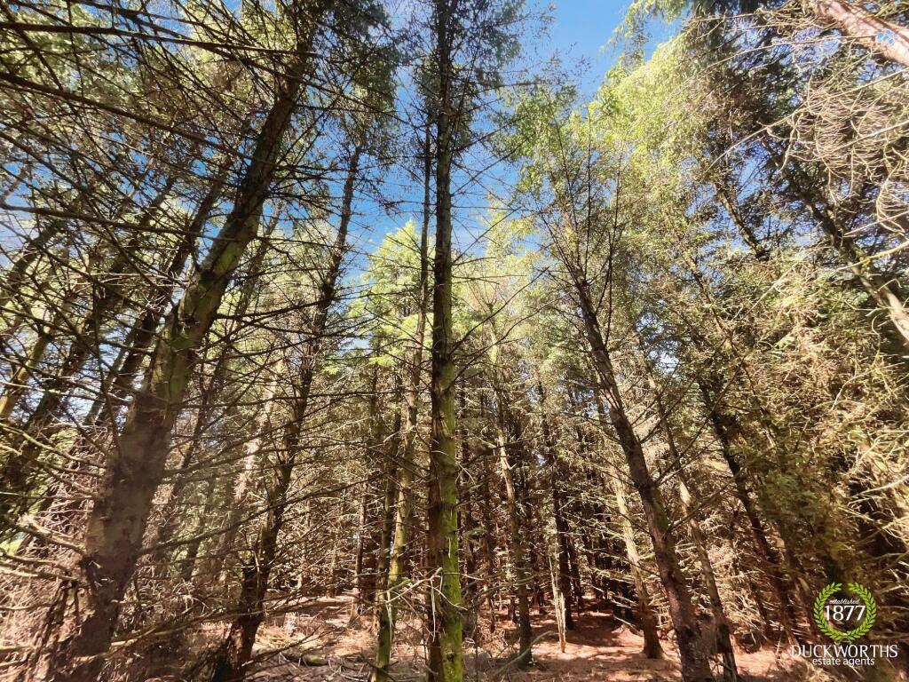 Additional image 32 of Bolton Road, Darwen, BB3