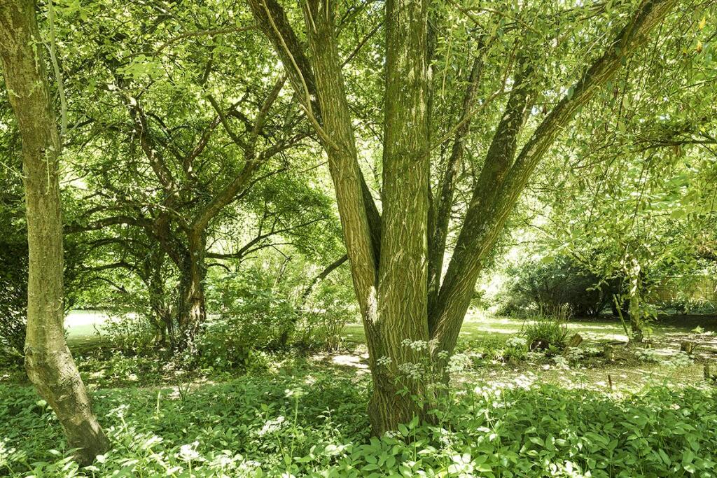 Additional image 27 of Farleigh Road, Norton St. Philip, Bath, BA2