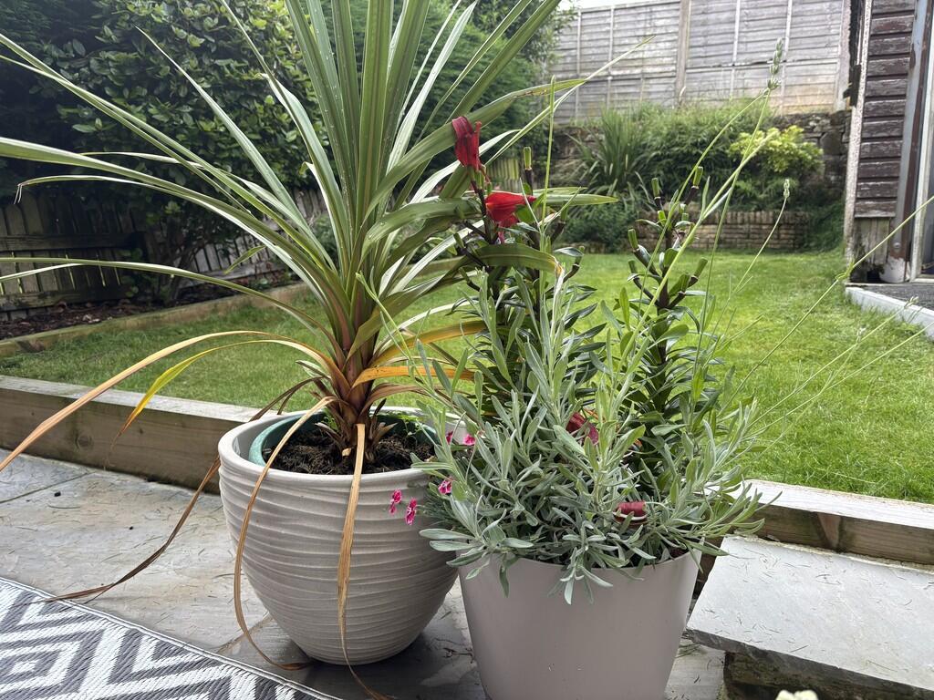 Additional image 26 of Oxford Street, Clayton, Bradford