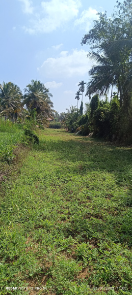 Additional image 2 of Channapatna, Bangalore