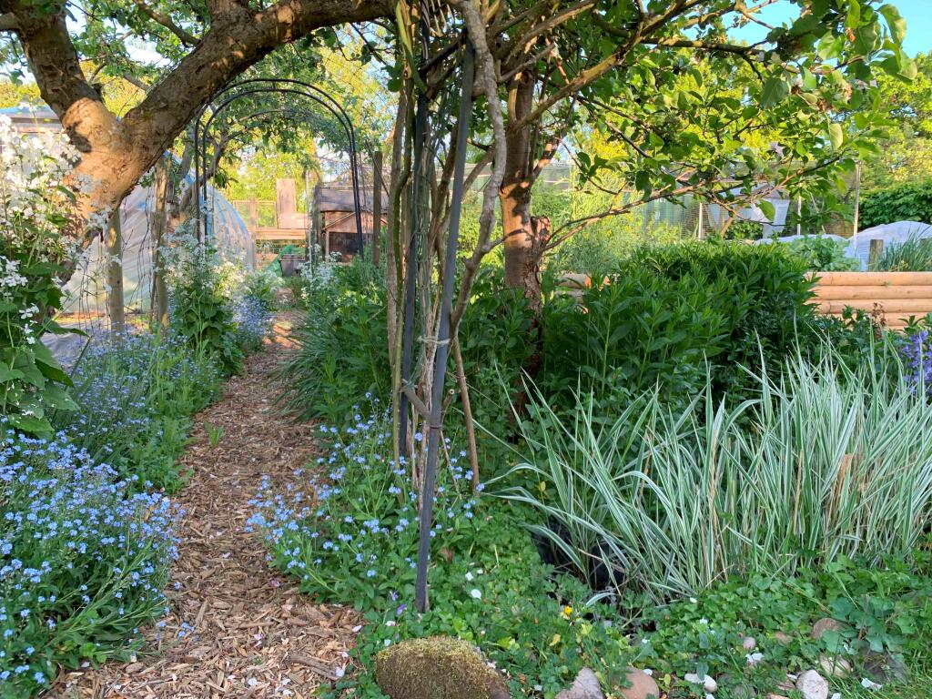 Additional image 44 of Earlswood WEST MIDLANDS