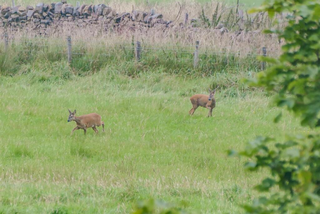 Additional image 61 of Weasel Lane, Tockholes, Darwen