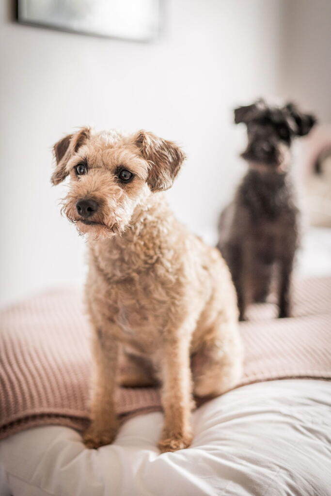 Additional image 25 of Hill Village Road, Sutton Coldfield, West Midlands, B75 5JH