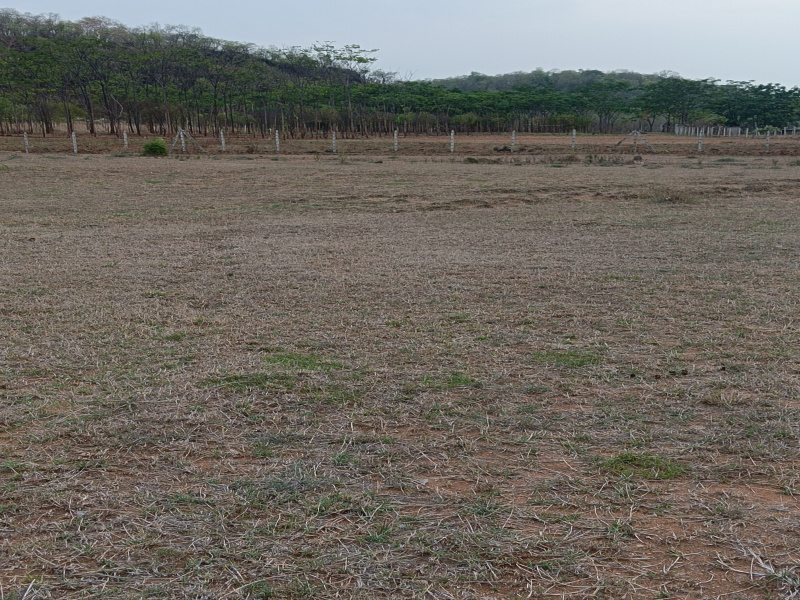 Additional image 2 of Kalameshwar, Nagpur