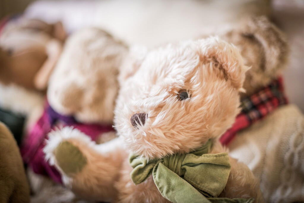 Additional image 25 of Reay Nadin Drive, Sutton Coldfield, B73 6UL