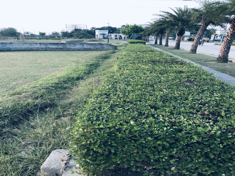 Additional image 3 of Sultanpur Road, Lucknow