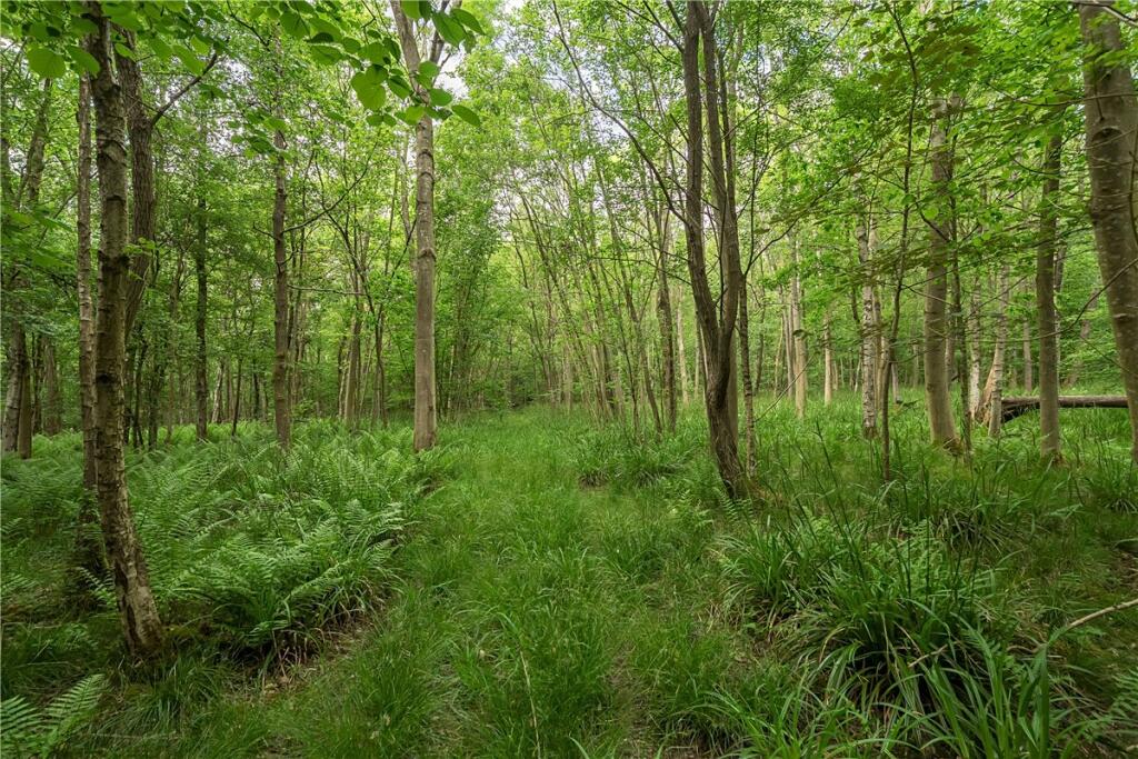 Additional image 6 of Brockhill Lane, Redditch, Worcestershire, B97