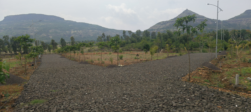 Additional image 2 of Trimbakeshwar, Nashik