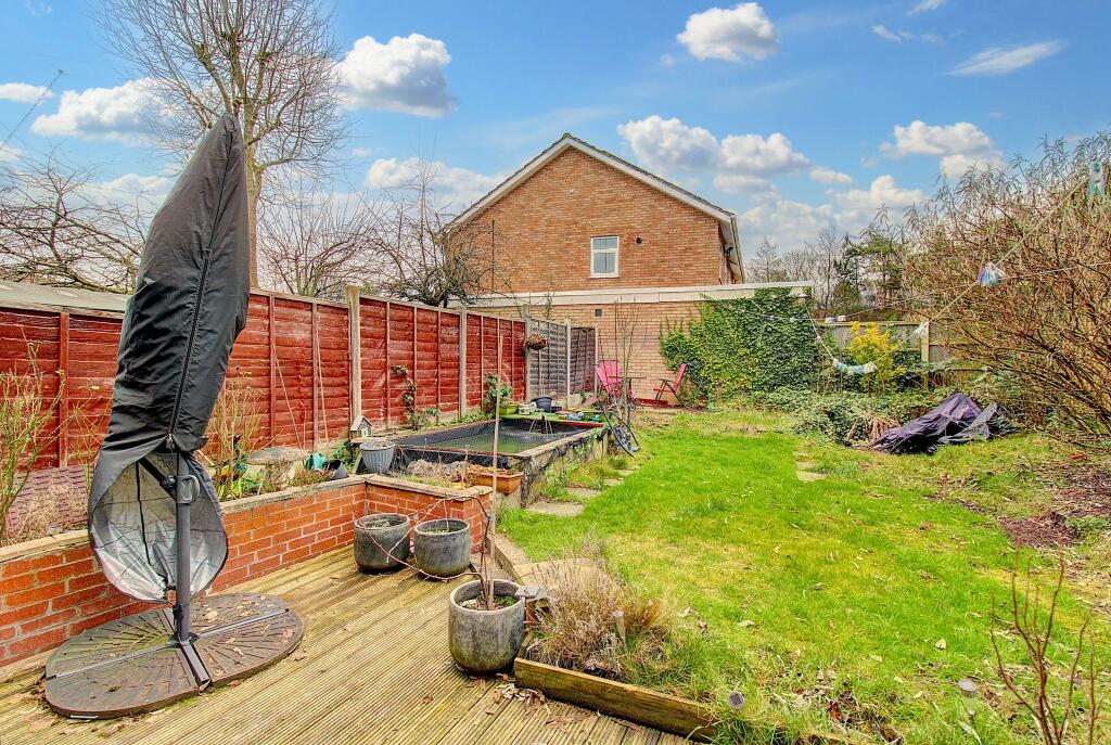 Additional image 16 of Angelica, Tamworth, B77