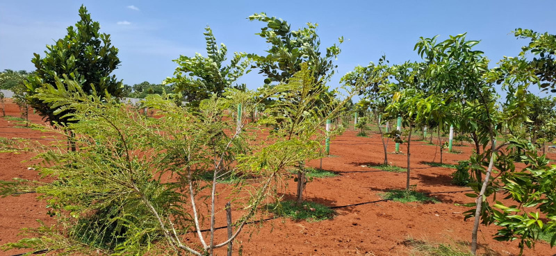 Additional image 2 of Kottakuppam, Pondicherry