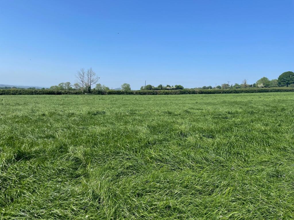 Additional image 5 of Withial, East Pennard, BA4