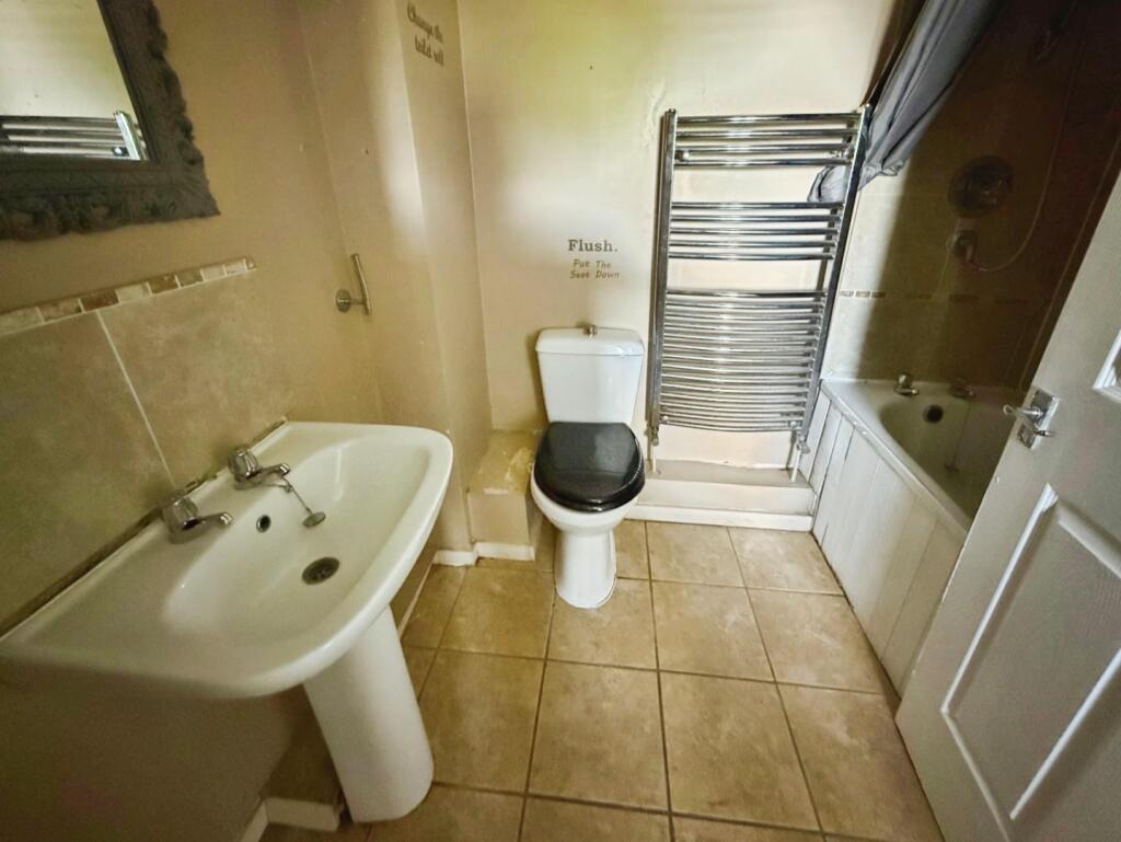 Additional image 15 of Sorrel, Tamworth