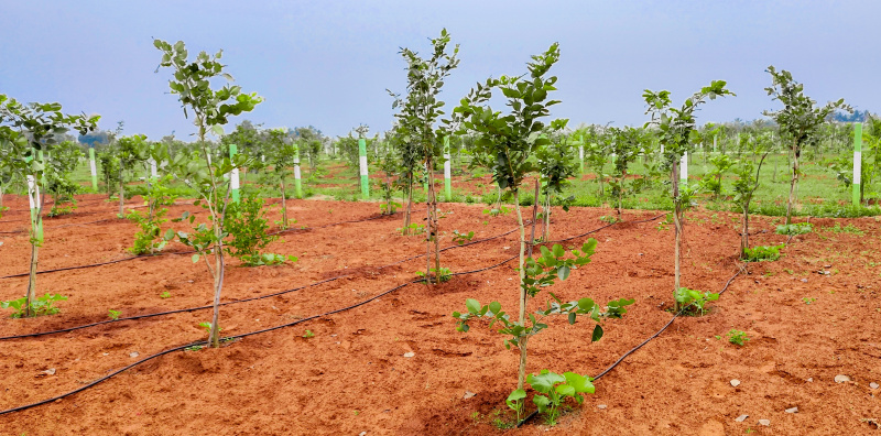 Additional image 3 of Ecr To Marakanam Road, Chennai