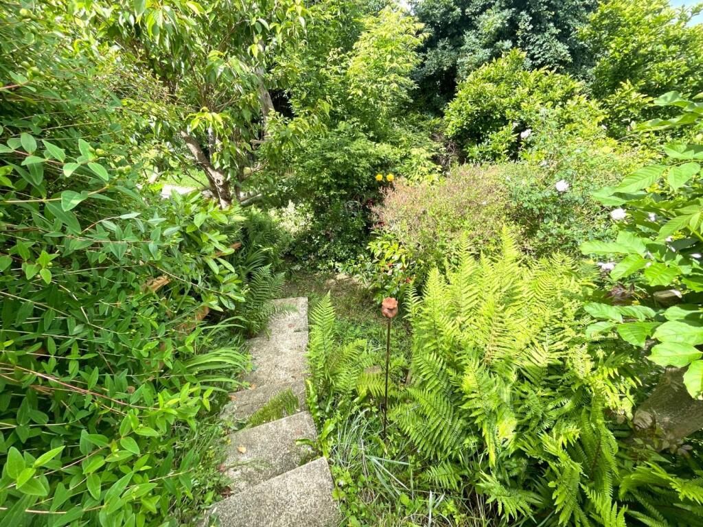 Additional image 17 of Hexton Road, Glastonbury