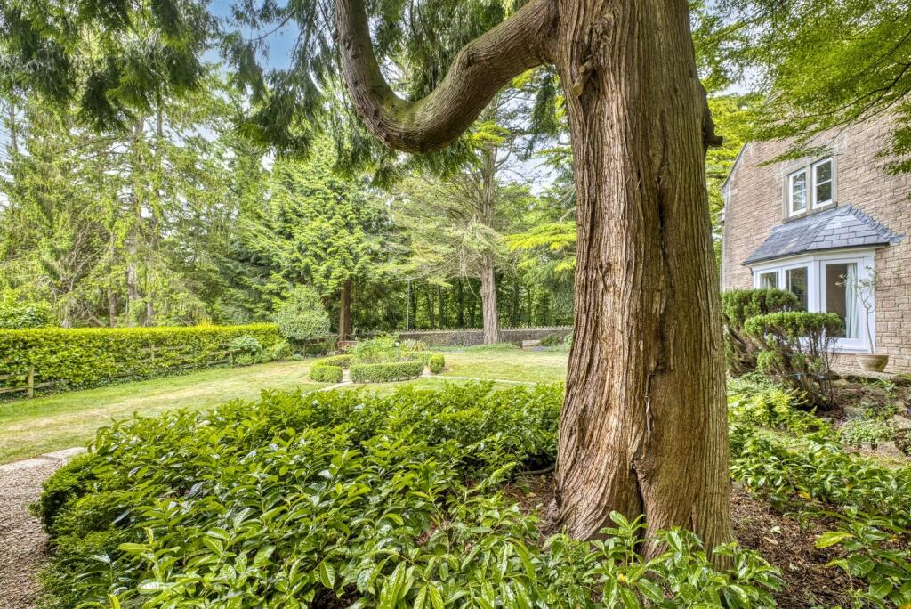 Additional image 29 of Nr. Wells